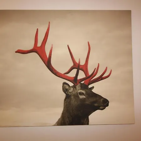 Franz-walde-weg By Managers Apartament *