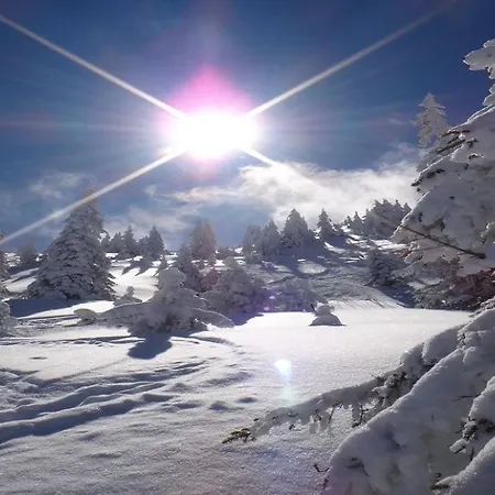 Franz-walde-weg By Managers