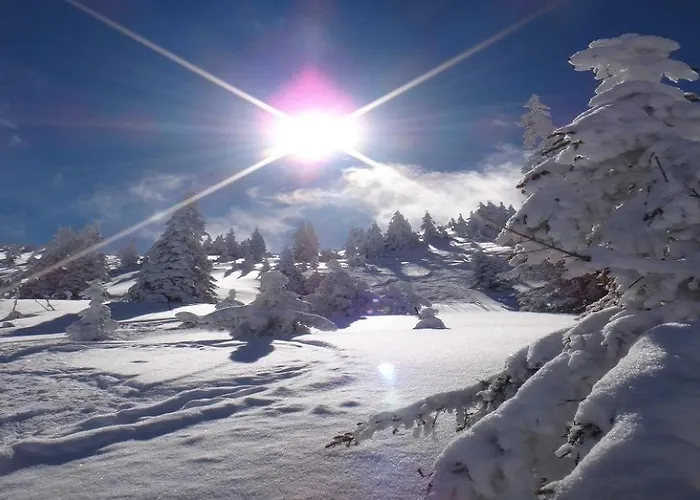 Franz-walde-weg By Managers