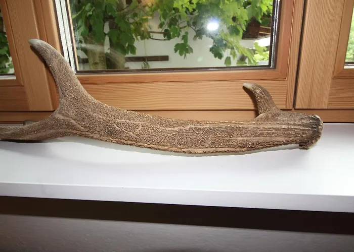 Franz-walde-weg By Managers كيتزبوهيل